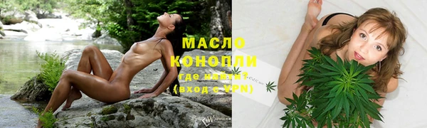 прущие крисы Бородино