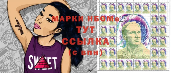 прущие крисы Бородино