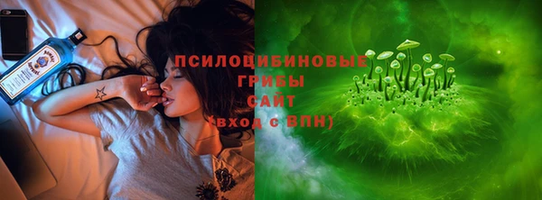 ECSTASY Бронницы