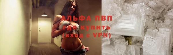 прущие крисы Бородино