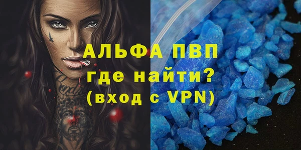 прущие крисы Бородино
