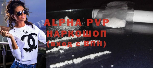 прущие крисы Бородино